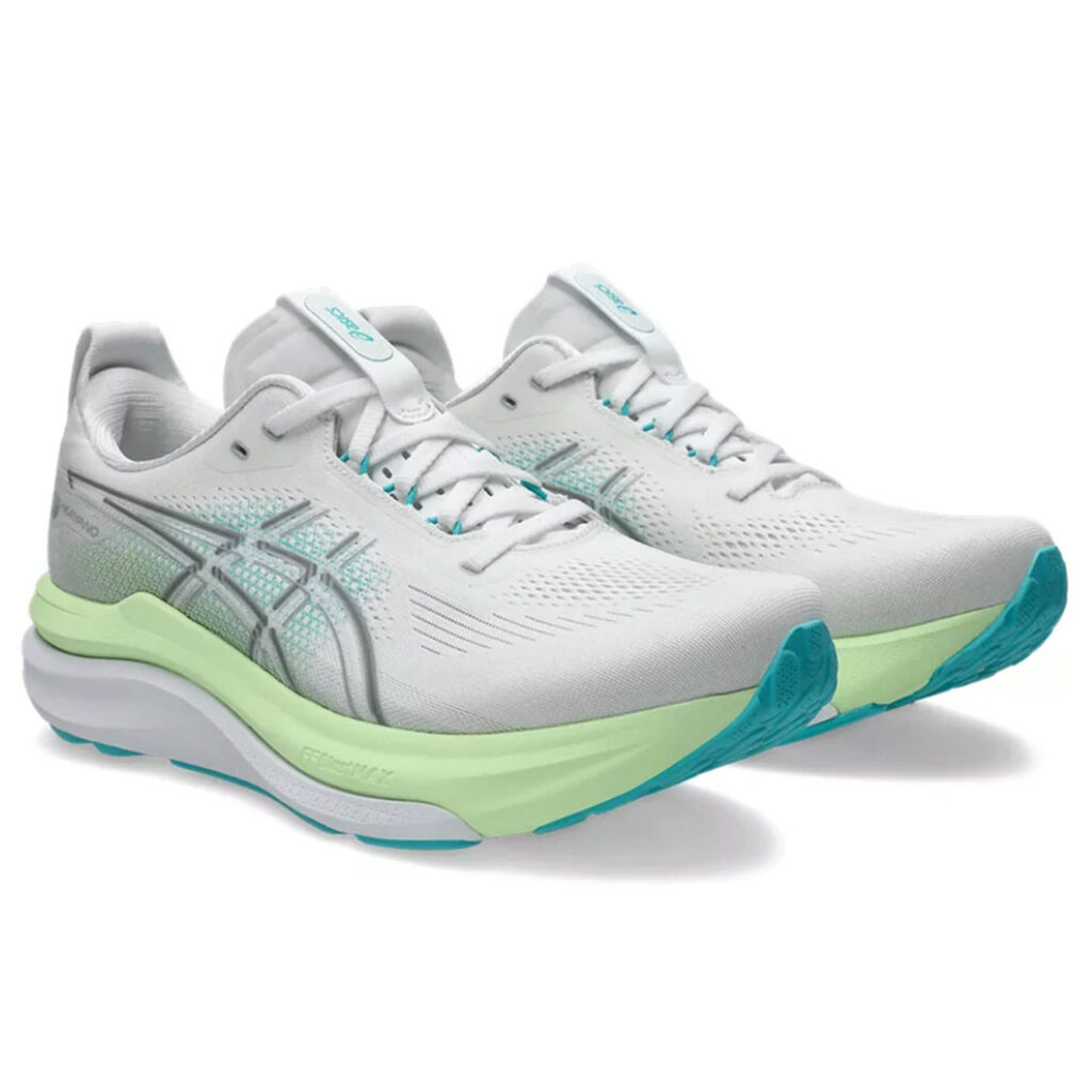 NOVABLAST 6とGEL-KAYANO 33を比較
